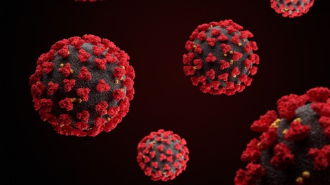 Deep Learning NLP: Build and Deploy a BERT COVID Q & A System