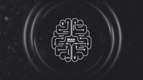 Data Science: do Dado à Tomada de Decisão