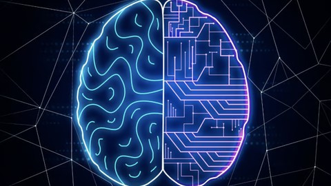 Binary Classification & Explainability for Data Science!
